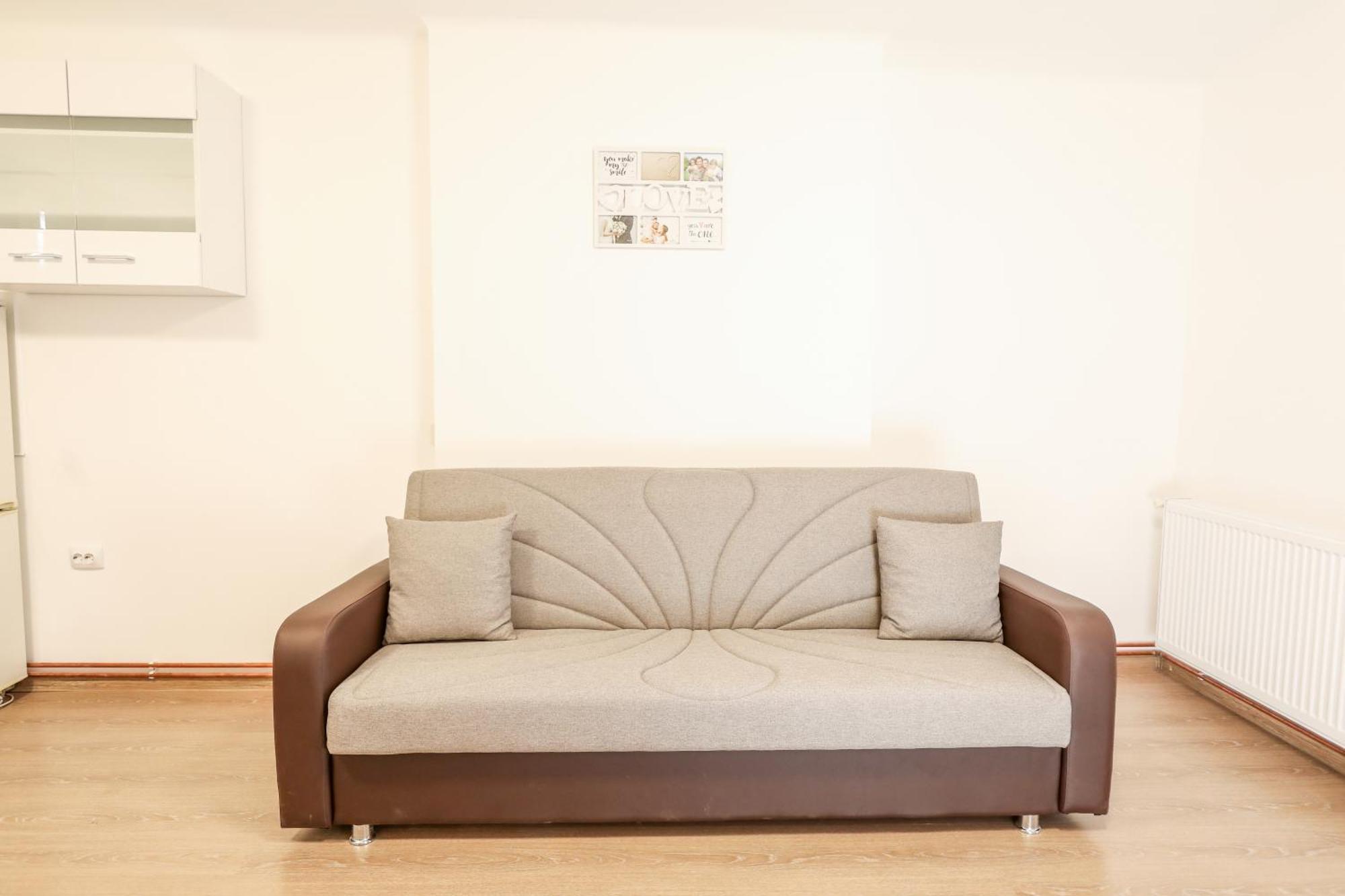 Sub-Level Urban Apartment Cluj-Napoca Ngoại thất bức ảnh
