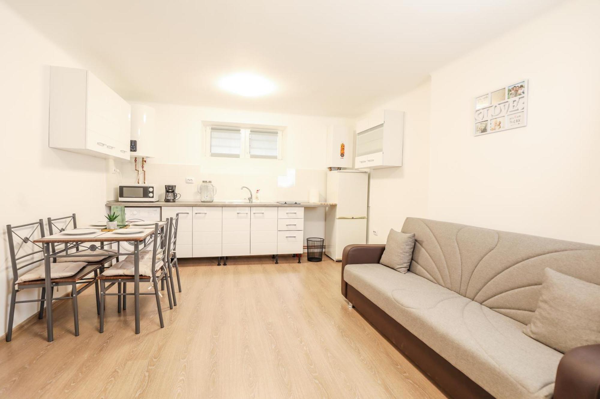 Sub-Level Urban Apartment Cluj-Napoca Ngoại thất bức ảnh